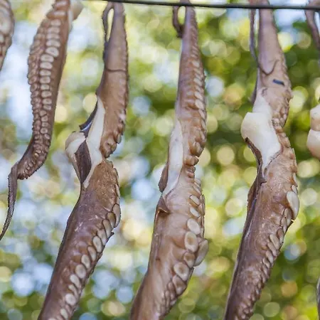 Gorgeous Mykonos 12 Bedrooms Nova Light Private Pool