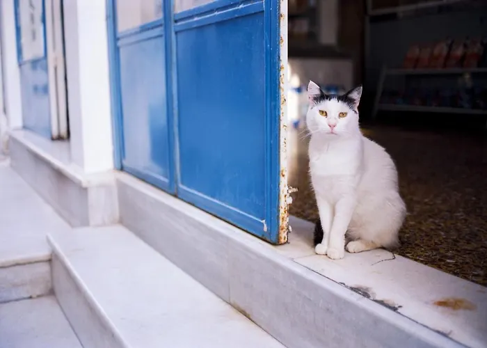 Gorgeous Mykonos 12 Bedrooms Nova Light Private Pool Villa