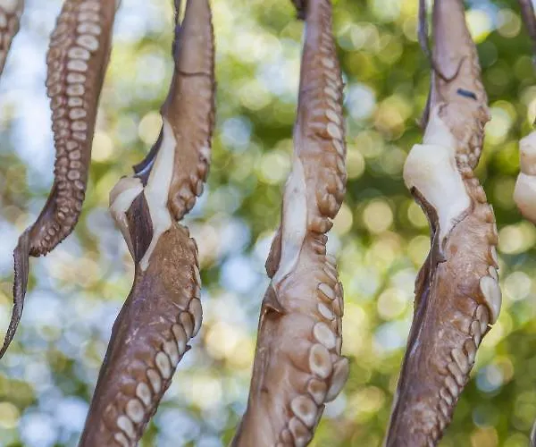 Gorgeous Mykonos 12 Bedrooms Nova Light Private Pool
